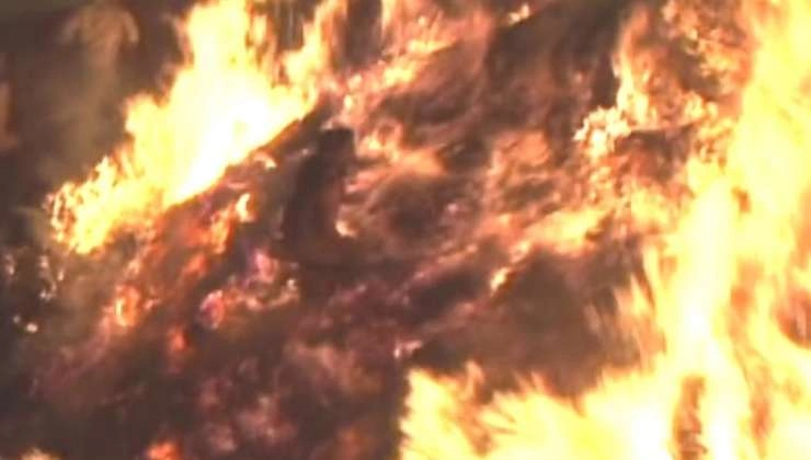 जलती हुई होली में कूदा, देखें रोंगटे खड़े कर देने वाला वीडियो