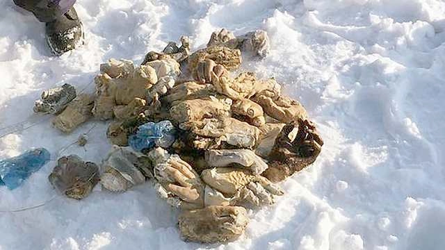 रूस : नदी किनारे मिलीं 54 हथेलियां फॉरेंसिक लैब की - hands found in a bag in russia belomged to forensic lab