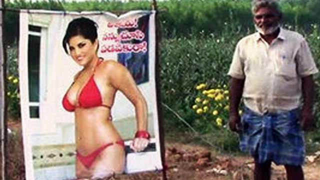 बुरी नजर से बचाए सनी लियोनी की फोटो - A farmer in Andhra Pradesh used the photo of Sunny Leone to divert people’s attention from his farm
