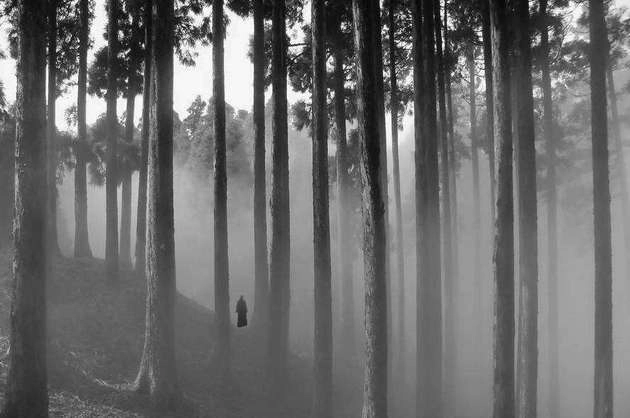 कुर्स‌ियांग के जंगल में घूमता स‌िर कटा व्यक्त‌ि - kurseong dow hill haunted story