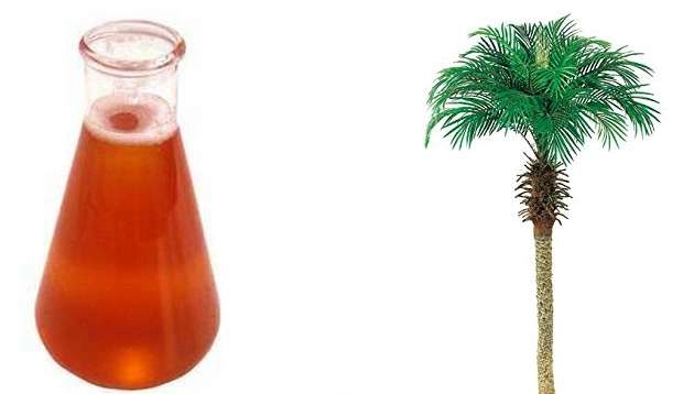 खाने वाला तेल पाम ऑयल इतना विवादित क्यों? | palm Oil