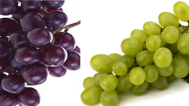 गर्मी के दिनों में बहुत लाभकारी है अंगूर का सेवन... - grapes