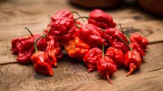 विश्व की सबसे तीखी एक मिर्च खाई क्या... - Man develops 'thunderclap headaches' after eating one of the world's hottest chili peppers