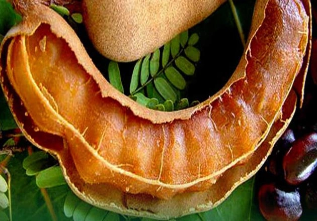 गर्मियों की रानी खट्टी-मीठी इमली, पढ़ें 10 बेमिसाल गुण - benefits of tamarind