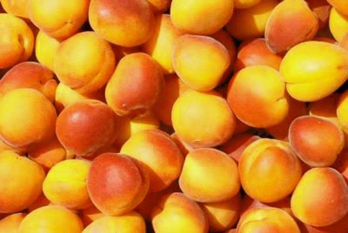 एक बार जरूर पढ़ें खूबानी के 5 खास गुण - Health Benefits of Eating Apricots