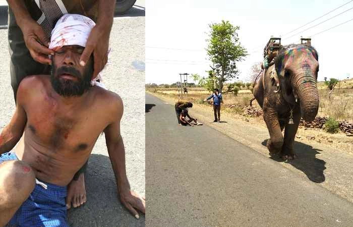 हाथी ने महावत को पटका, फिर अस्पताल ले गया (वीडियो) - injured Mahavat, angry elephant, hospital
