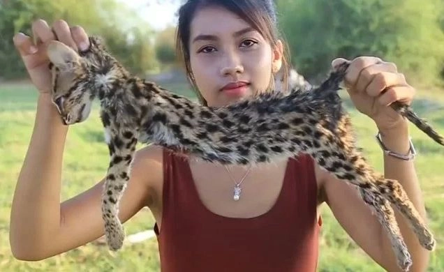 पैसों की लालच, विलुप्त प्रजाति के जानवरों को मारकर खा गई हसीना, मामला हुआ दर्ज - Woman arrested filming skinning filming skinning endangered cat