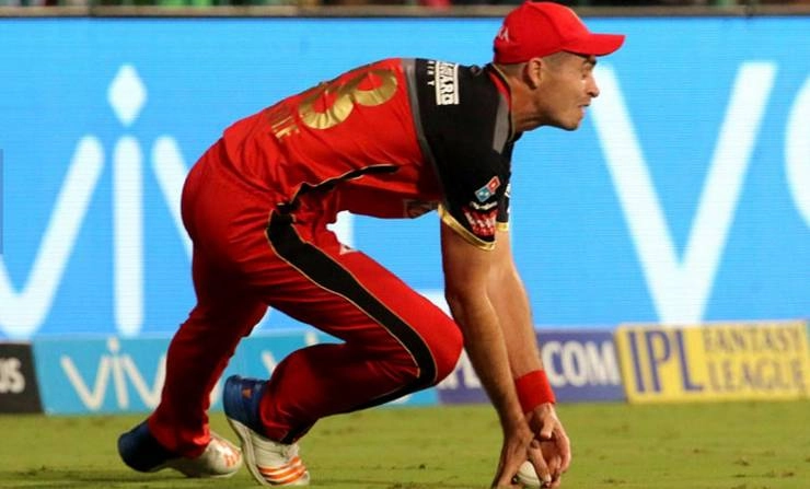 आईपीएल : रॉयल चैलेंजर्स बेंगलुरु के गेंदबाज साऊदी को लगी फटकार - Tim Southee