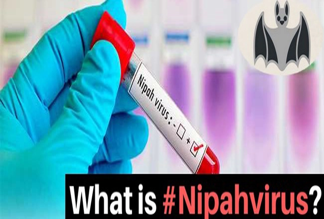 निपाह वायरस क्या है? - What is Nipah Virus