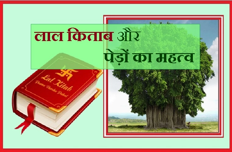 इसलिए भी जरूरी है पेड़ हमारे लिए, जानिए लाल किताब क्या कहती है - Importance of Tree and Laal kitab