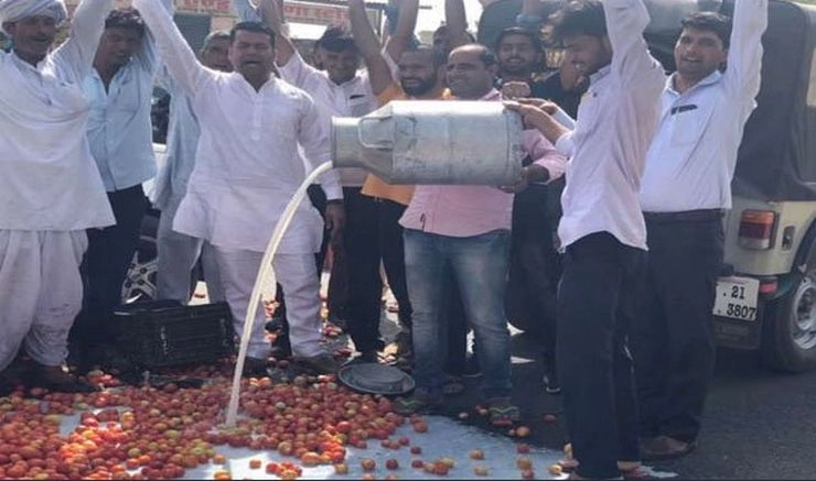 किसान आंदोलन का दूसरा दिन, सब्जियों की कीमतें बढ़ीं - Vegetables peasants movement Punjab