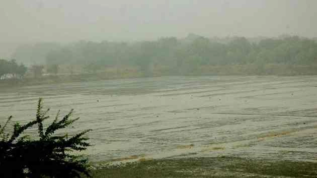 पंजाब, हरियाणा में कई जगह बारिश, धूलभरी धुंध से राहत - Weather update, weather, rain, temperature, Punjab