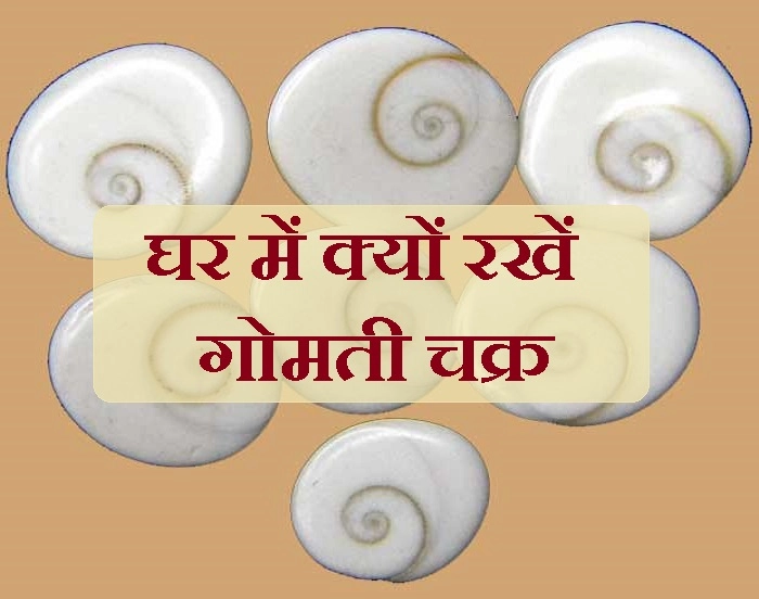 लक्ष्मीजी का प्रतीक है गोमती चक्र, जीवन का हर दु:ख दूर करेंगे ये 5 चमत्कारी टोटके। Gomti Chakra - benefits Gomti Chakra