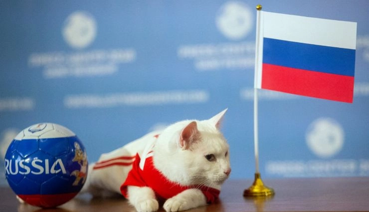 रूस के फुटबॉल फैंस के लिए बुरी खबर, FIFA ने विश्वकप से किया बेदखल - FIFA bans Russia from participating in upcoming world cup
