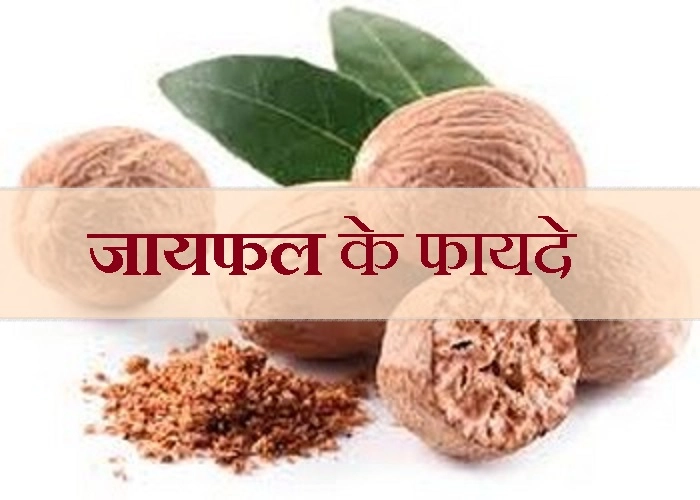 जायका बढ़ाने वाला जायफल कैसे आया भारत, जानिए इसके अनमोल फायदे - Benefits of Nutmeg In Hindi