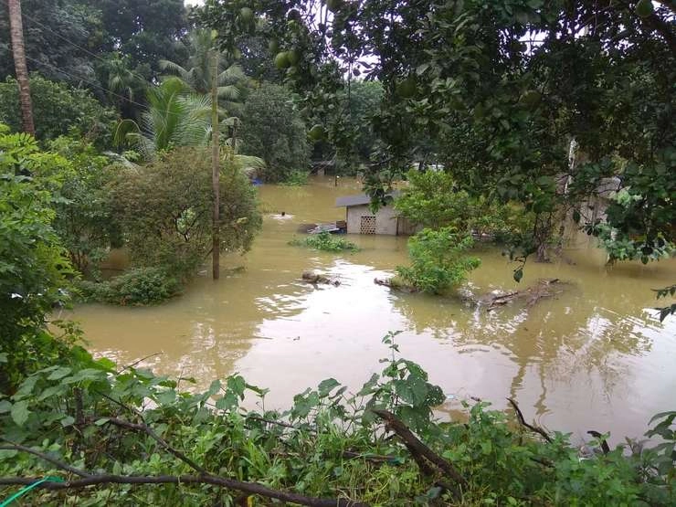 केरल में बारिश का कहर, 12 से ज्यादा लोगों की मौत, 3 लापता, सरकार ने जारी किया अलर्ट - Rain Kerala Trivandrum heavy rain weather department