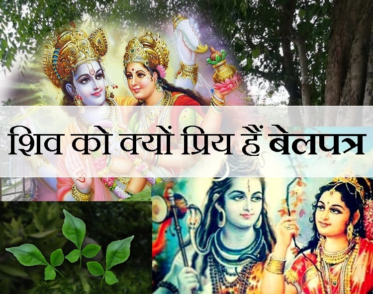देवी लक्ष्मी ने आखिर बिल्ववृक्ष का रूप क्यों लिया, पढ़ें एक ऐसी कथा जो आपने कहीं नहीं सुनी - bilva patra and lord shiva