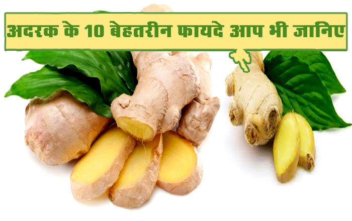 सर्द मौसम में जरूर कीजिए अदरक का इस्तेमाल, जानिए 10 फायदे - ginger health benefits
