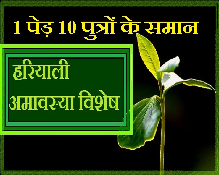 हरियाली अमावस्या के दिन धन, आरोग्य, संतान, बुद्धि, ऐश्वर्य और सौभाग्य के लिए लगाएं विशेष पेड़ - Hariyali Amavasya 2018 and importance of plantation