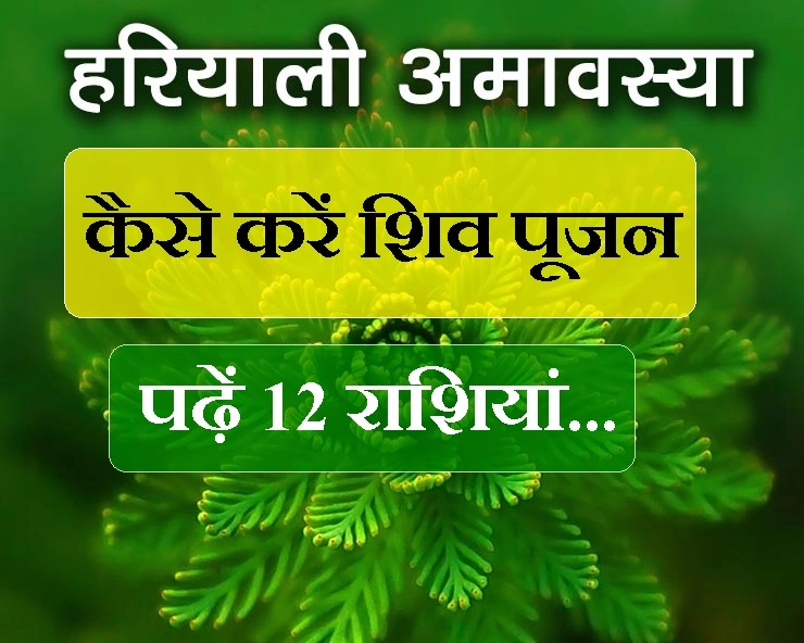 सिर्फ एक लाइन में जानिए हरियाली अमावस पर कैसे करें शिव का पूजन - Hariyali amavasya aur 12 rashiyan