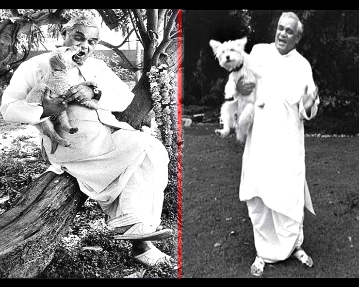 अटल जी को बहुत स्नेह रहा अपने पप्पी से, लिखी थीं उन पर कविता, बबली, लौली कुत्ते दो, कुत्ते नहीं खिलौने दो - Atal bihari Vajpayee Poems