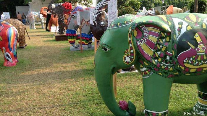 भारत में पहली बार गज महोत्सव | Gaj festival