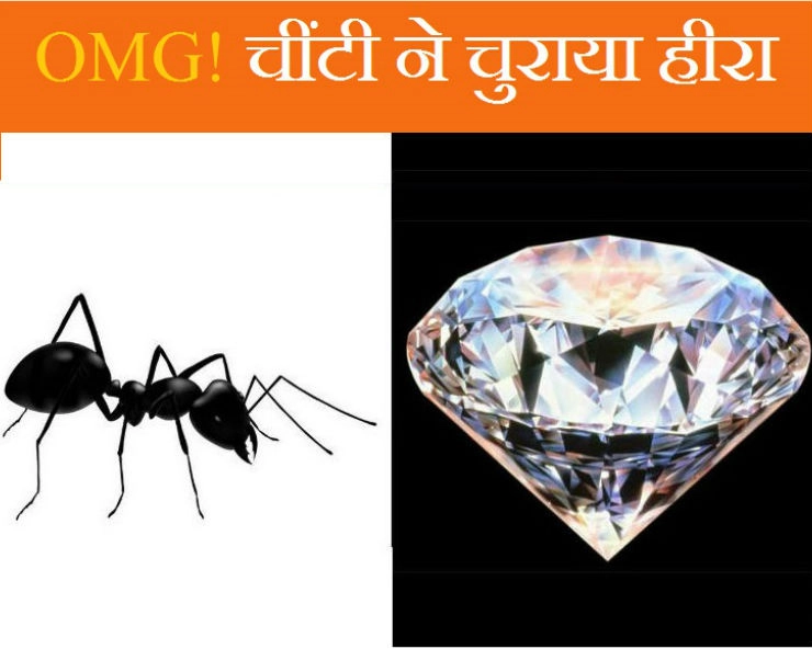 चींटी ने इस तरह चुराया हीरा, VIRAL हुआ VIDEO - ant steals diamond, viral video