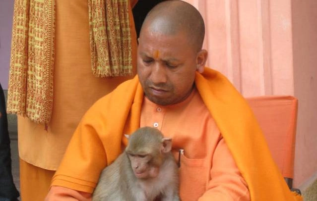 बंदरों से बचने के लिए मुख्यमंत्री योगी आदित्यनाथ ने दिया 'अनूठा मंत्र' - Yogi Adityanath Uttar Pradesh Chief Minister Monkey