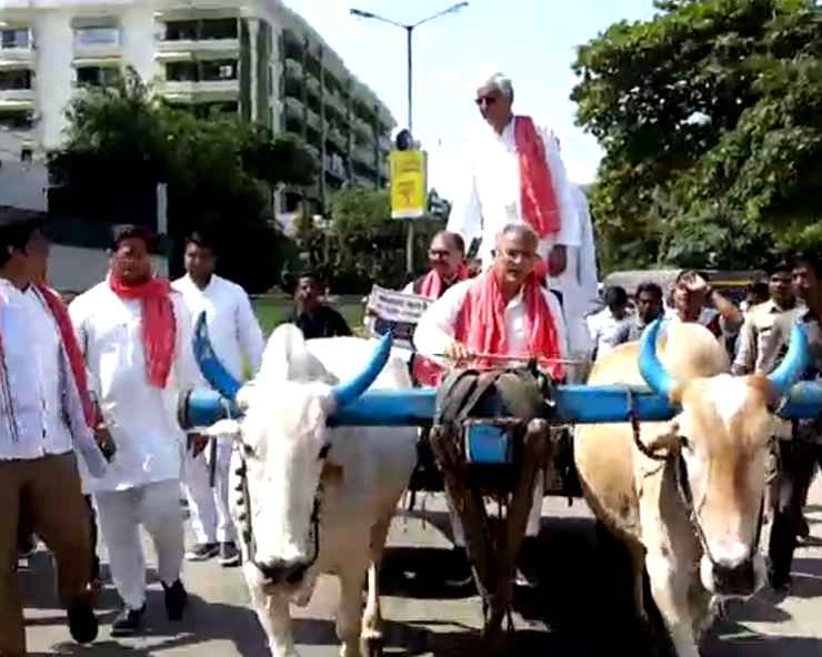 महंगाई पर कांग्रेस का अनोखा प्रदर्शन, बैलगाड़ी से विधानसभा पहुंचे कांग्रेस विधायक - congress protest in Chhattisgarh