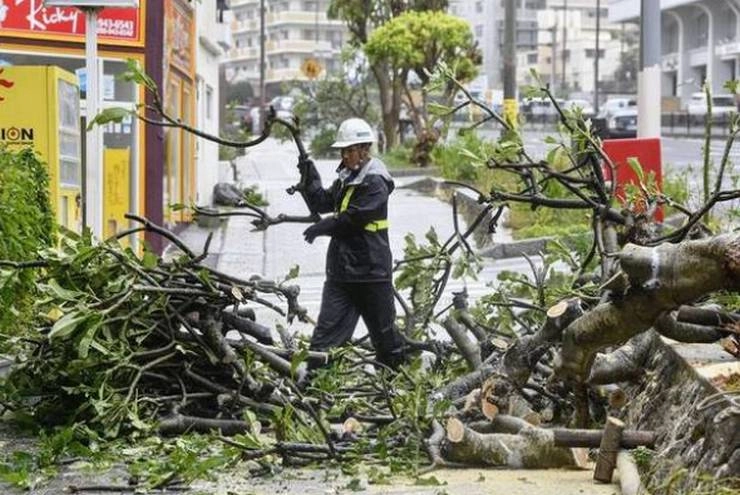 जापान में शक्तिशाली तूफान 'त्रामी' के कहर से ढाई लाख लोग प्रभावित, कई उड़ानें और ट्रेनें रद्द