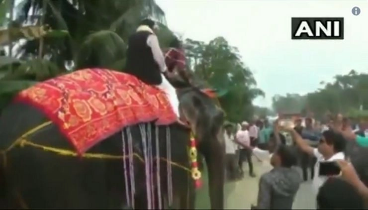 नेताजी को महंगी पड़ी हाथी की सवारी, संतुलन बिगड़ने पर हुए धड़ाम (वीडियो) - assam deputy speaker falls off elephant
