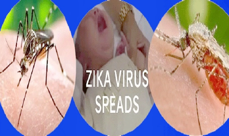 जीना मुश्किल करता जीका। Zika Virus - Zika Virus