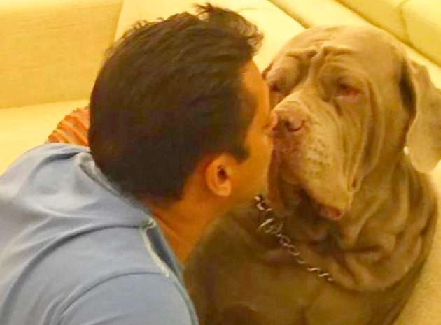 सलमान खान के चहेते डॉगी की मौत, सोशल मीडिया पर बयां किया अपना दर्द - salman khan pet dog my love passes away