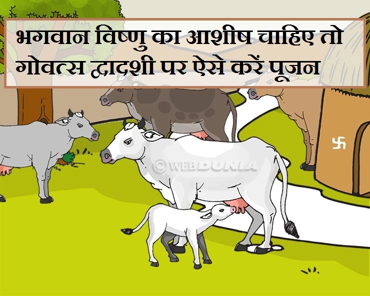 4 नवंबर को गोवत्स द्वादशी, जानिए कैसे करें गाय-बछड़ों का पूजन, पढ़ें मंत्र भी...। Govatsa Dwadashi  Nov 4 - November 4 Govatsa Dwadashi
