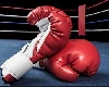 World Boxing Championship:  भारतासाठी चार सुवर्ण, निखत-लवलिना यांनी शेवटच्या दिवशी सुवर्णपदक पटकावले