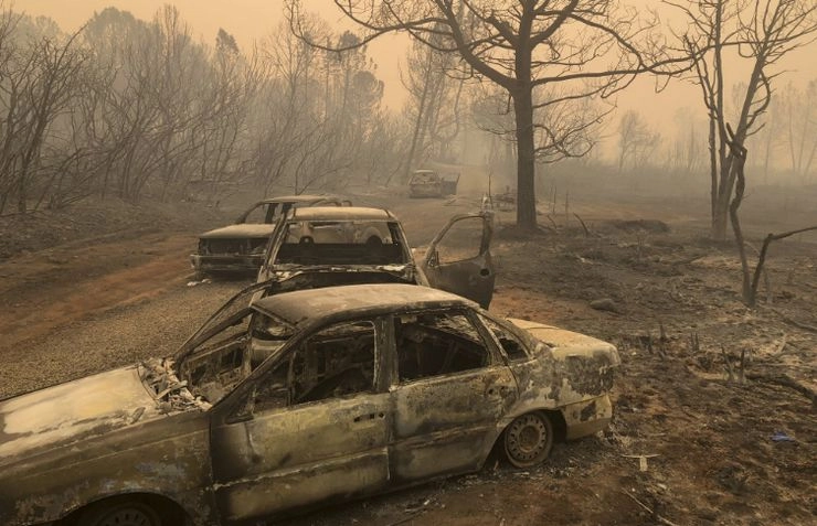अमेरिका में आग से तबाही, इतिहास के सबसे भयावह अग्निकांड में 23 लोगों की मौत - California, the largest fire in history