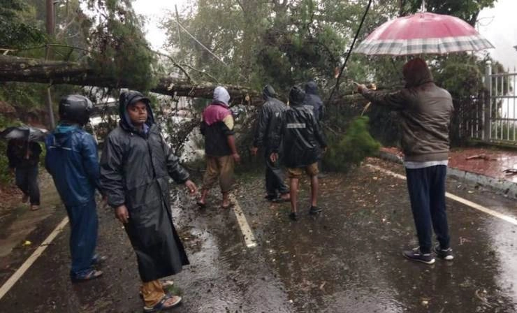 तूफान 'गज' ने मचाई तबाही, तमिलनाडु में भारी बारिश से 13 लोगों की मौत - Hurricanes Gaj