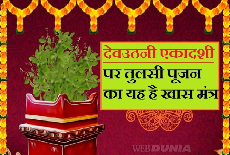 अपार धन-दौलत और सुख-समृद्धि के लिए तुलसी का केवल एक मंत्र ही काफी है, देवउठनी एकादशी के दिन अवश्‍य पढ़ें... - Tulsi Mantra in Hindi