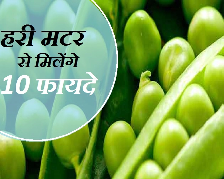स्वाद से खाइए हरी मटर, क्योंकि इससे मिलेंगे 10 फायदे - Green Peas Or Matar Benefit