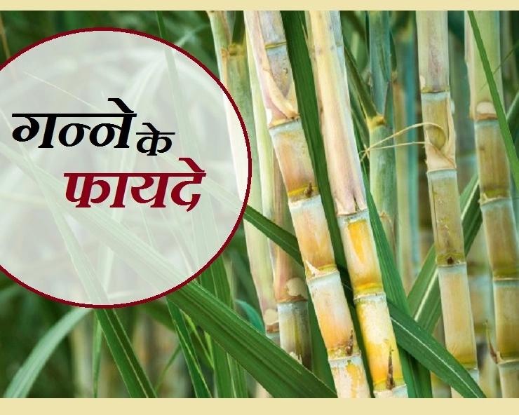 मीठे रसीले गन्ने के 7 बेहतरीन फायदे जरूर जान लीजिए - Sugarcane Benefit In Hindi