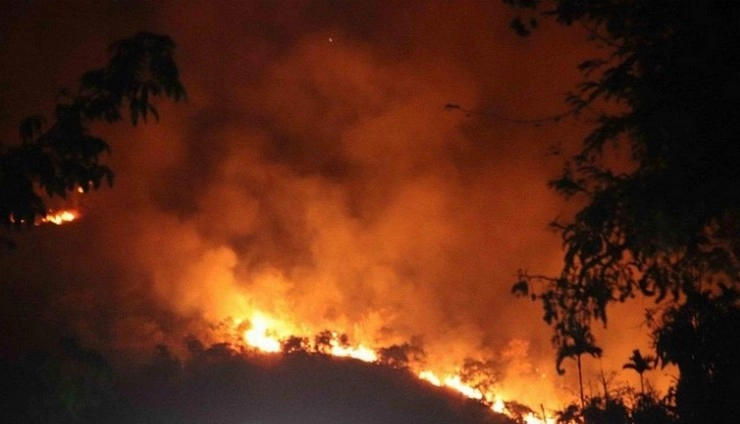 पंजाब में इस साल बढ़ी पराली जलाने की घटनाएं, सीपीसीबी ने जारी किए आंकड़े - Incidents of parali burning increased in Punjab this year