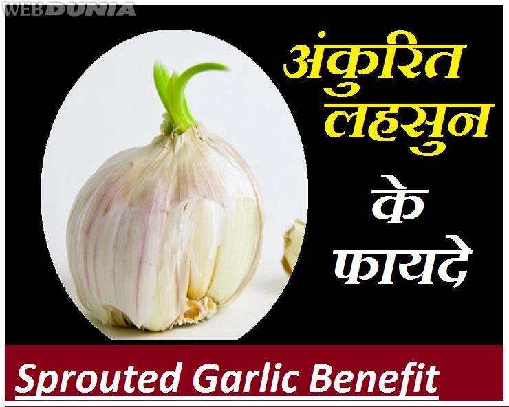 अंकुरित लहसुन के 5 फायदे जानकर, हैरान हो जाएंगे आप - Sprouted Garlic