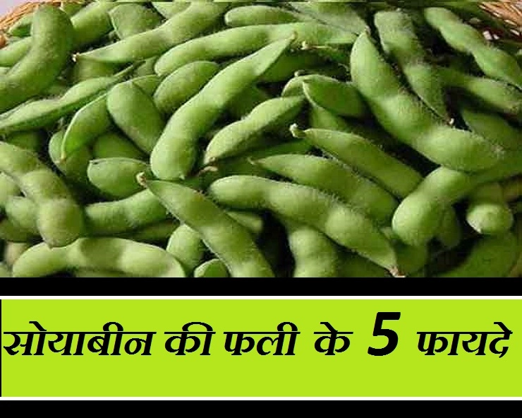 टेस्टी के साथ हेल्दी भी है सोयाबीन की हरी फलियां, जानिए 5 फायदे - Green Soya Benefit