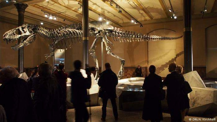 करोड़ों साल बाद भी खबर देती हैं हड्डियां | Flying dinosaurs