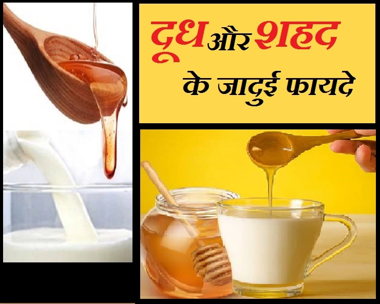 गजब के फायदे देता है दूध के साथ शहद, इन 5 बीमारियों को भी करेगा दूर - Amazing Benefit Of Milk And Honey