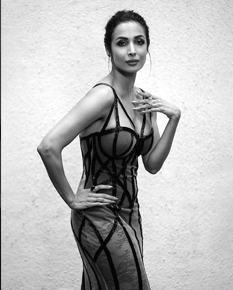 मलाइका अरोरा ने फिर दिखाया अपना ग्लैमरस अंदाज - Malaika Arora Khan, Hot Photos, Glamorous