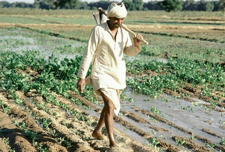 Lockdown में किसानों को मिली 18253 करोड़ रुपए की सहायता