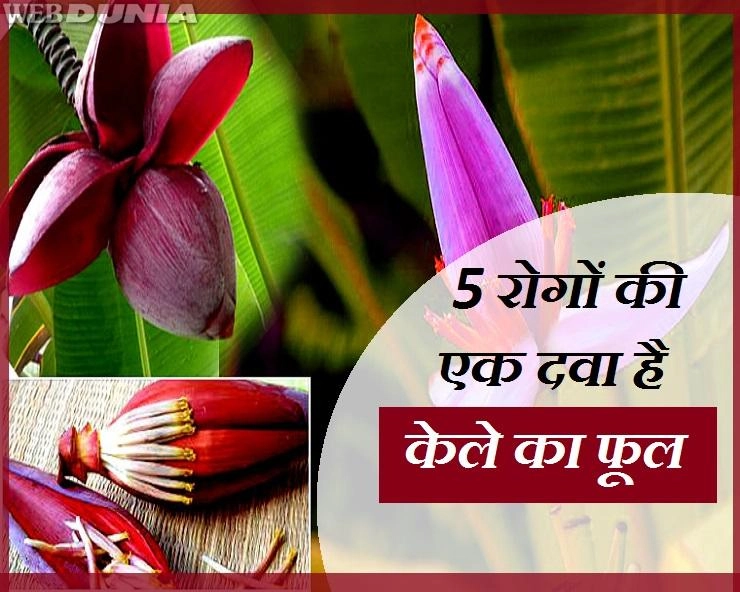 इन 5 बीमारियों से बचाता है केले का फूल, जानें फायदे