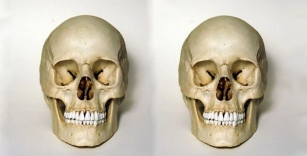 सनसनीखेज, गुजरात के पंचमहाल जिले में मिली मानव खोपड़ियां - Human Skulls
