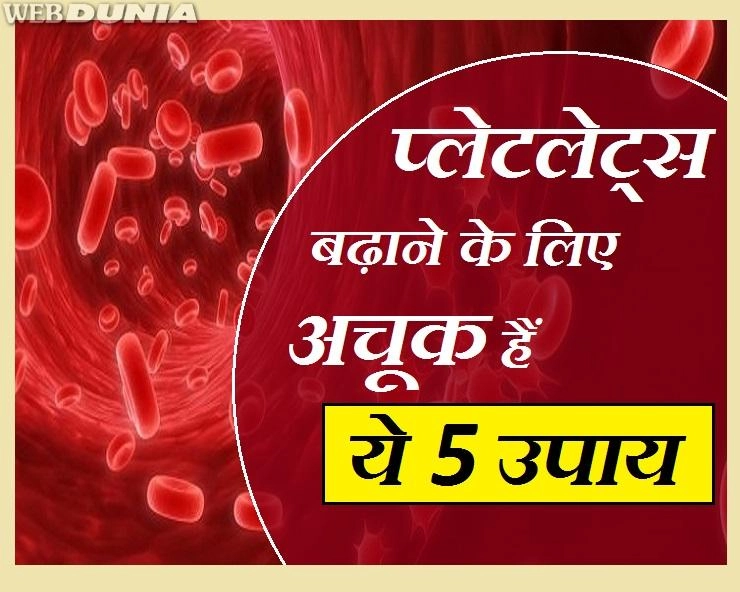 क्या खून में प्लेटलेट्स कम हो रहे हैं? तो ये रहे 5 फायदेमंद उपाय - How To Increase Blood Platelets